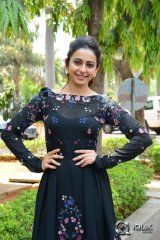 Rakul Preet Singh at Sarrainodu Movie Release Press Meet